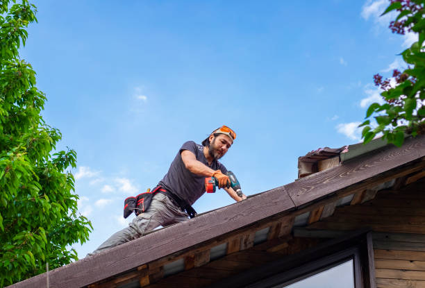 Best Roof Moss and Algae Removal  in Monfort Heights, OH